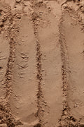 No.11 Houji Powder Roasted Signature